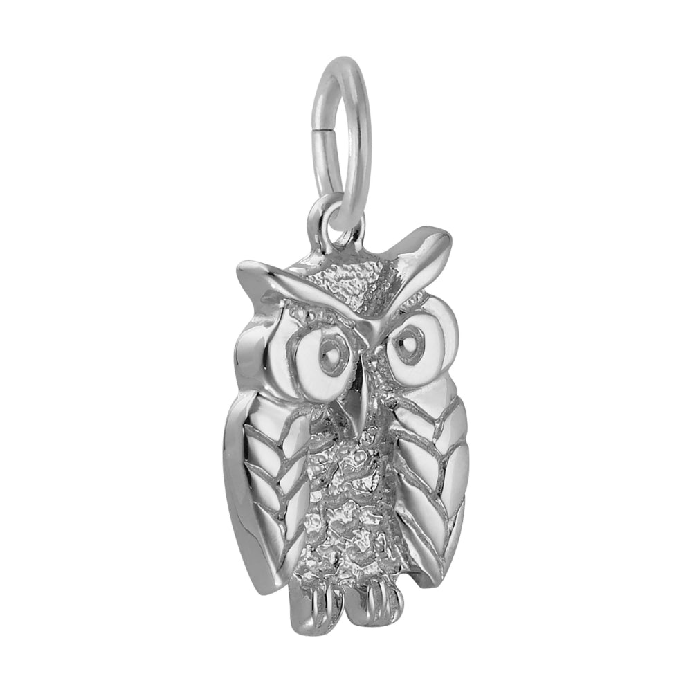 Silver owl charm on a white background 3/4 view