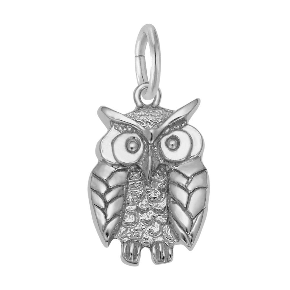 Silver owl charm on a white background