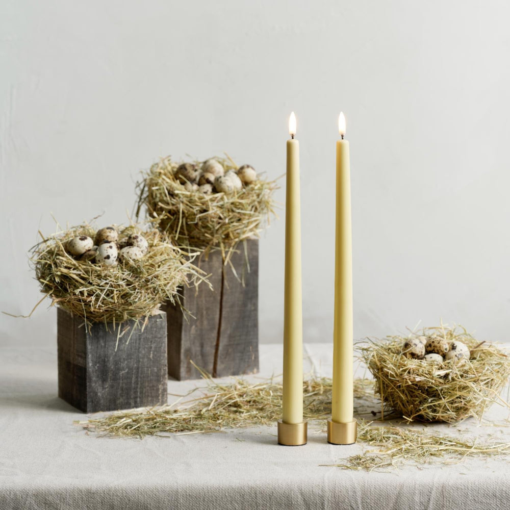 Uyuni Lighting Light Taper Candleholder - Set of 2