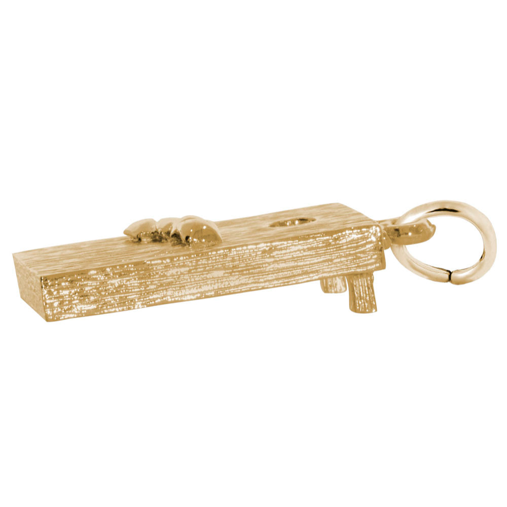 Side view of a Gold textured corn hole board charm on a white background