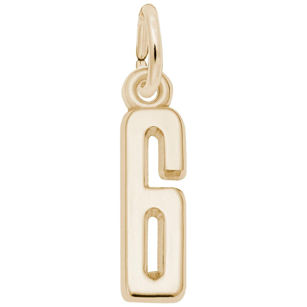 Gold 6 charm on a white background