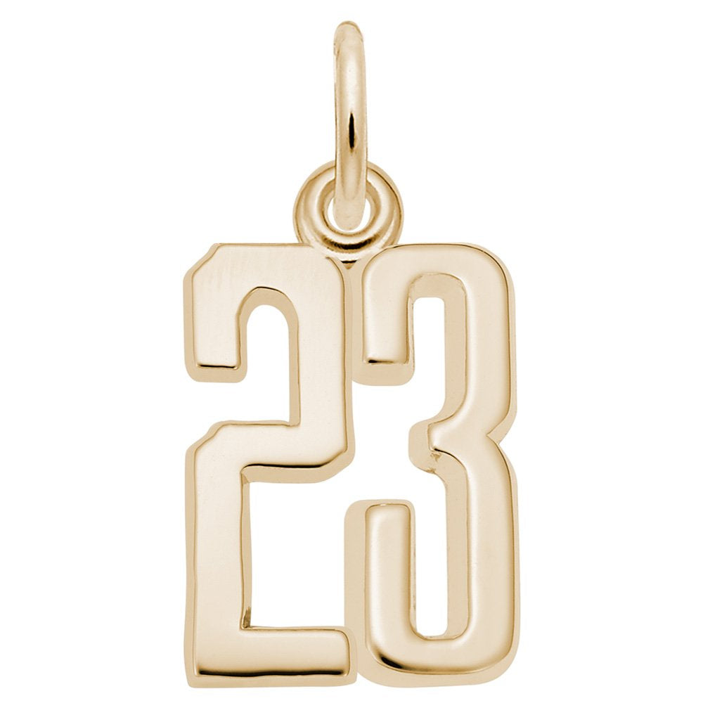 Gold number '23' charm on a white background