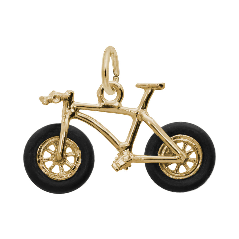 RQC 1845 Fat Tire Bike