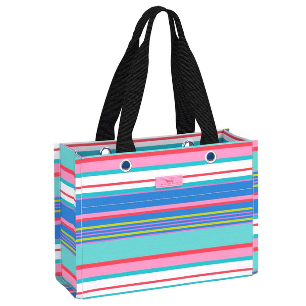 Scout Tiny Package Reusable Gift Bag - Summer 2025