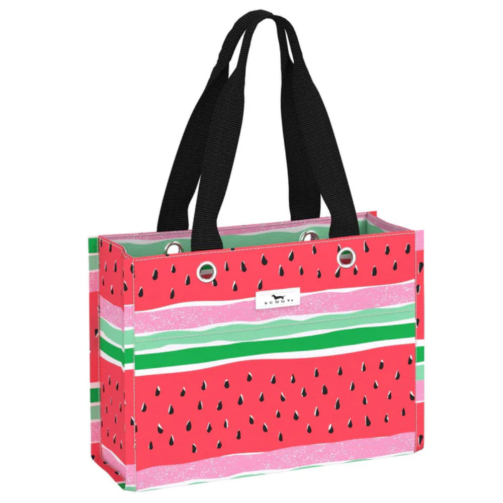 Scout Tiny Package Reusable Gift Bag - Summer 2025