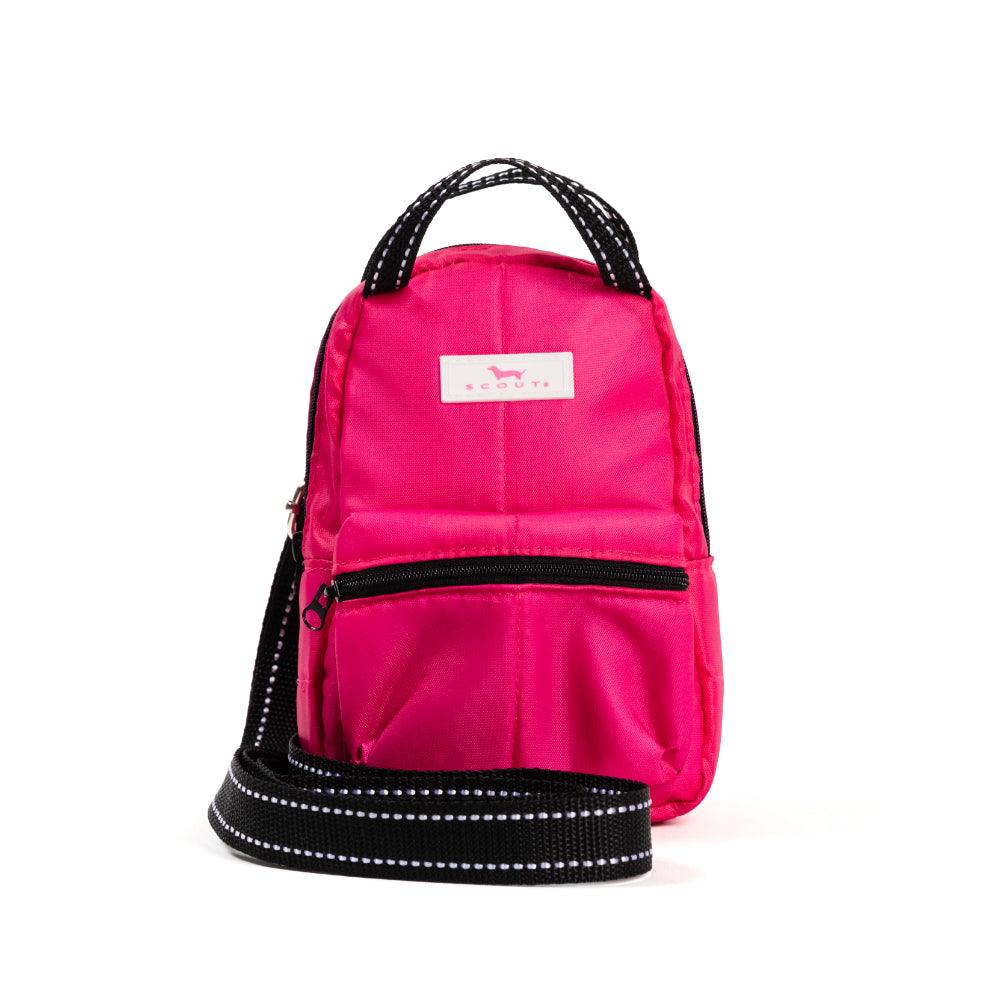 Scout Globetrotter Backpack - Fall 2025