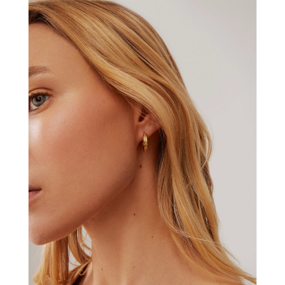 Anna Beck Classic Small Hinge Reversible Hoop Earrings
