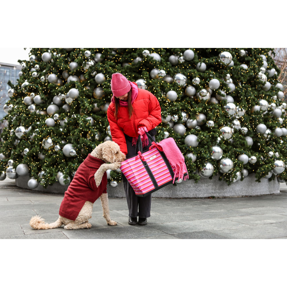A person in a red winter coat and pink hat holds a pink striped pet carrier bag with a fluffy cream dog wearing a red sweater in front of a large decorated Christmas tree.