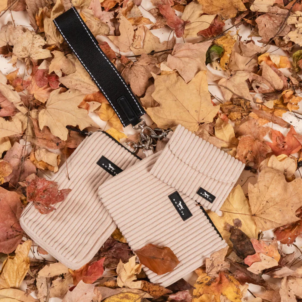 Two beige dog training halters on a bed of autumn leaves