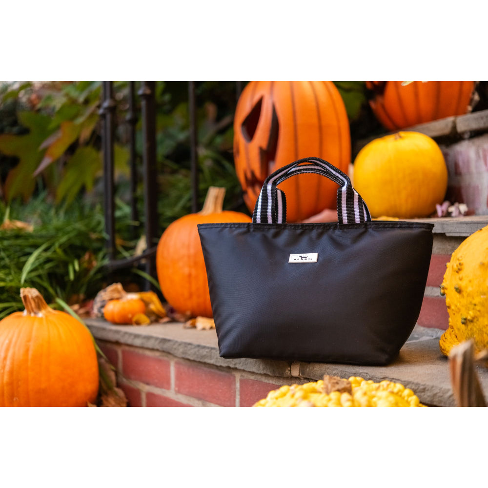 Black lunch bag with striped handle on a stone ledge with pumpkins and gourds in the background