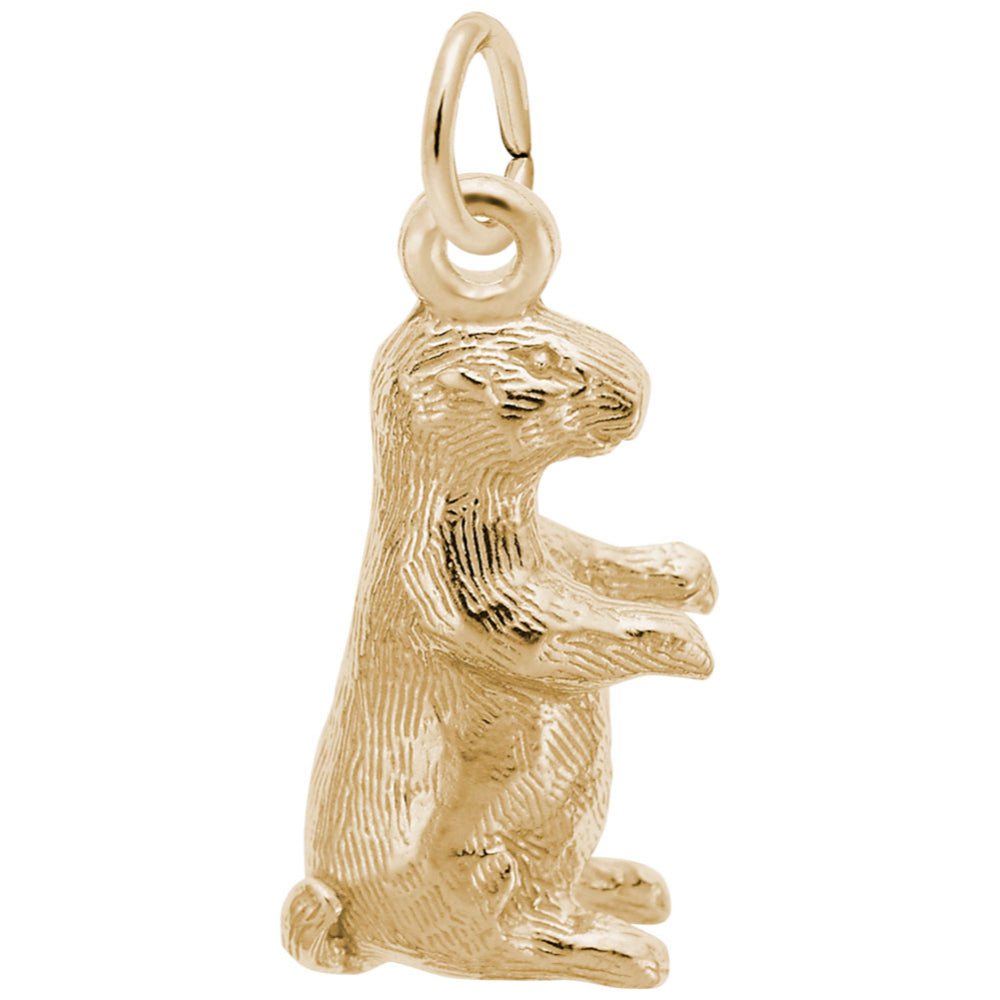 2078 Groundhog Charm