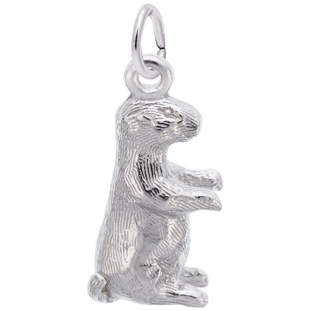 2078 Groundhog Charm