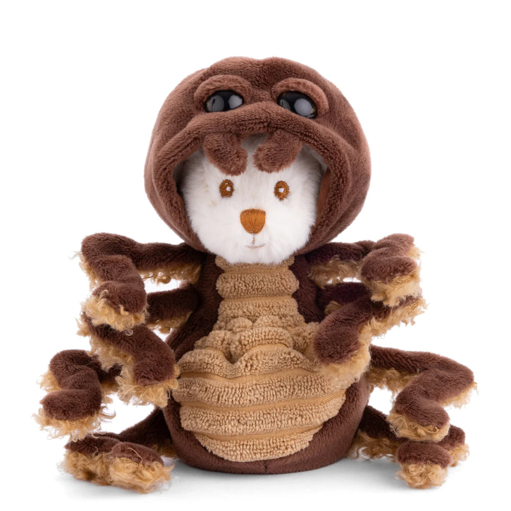 A white teddy bear with brown spider outfit on a white backround. 