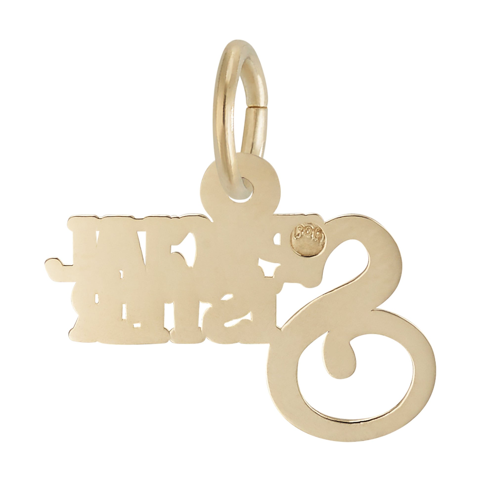 Back of Gold 'Special Sister' charm on a white background
