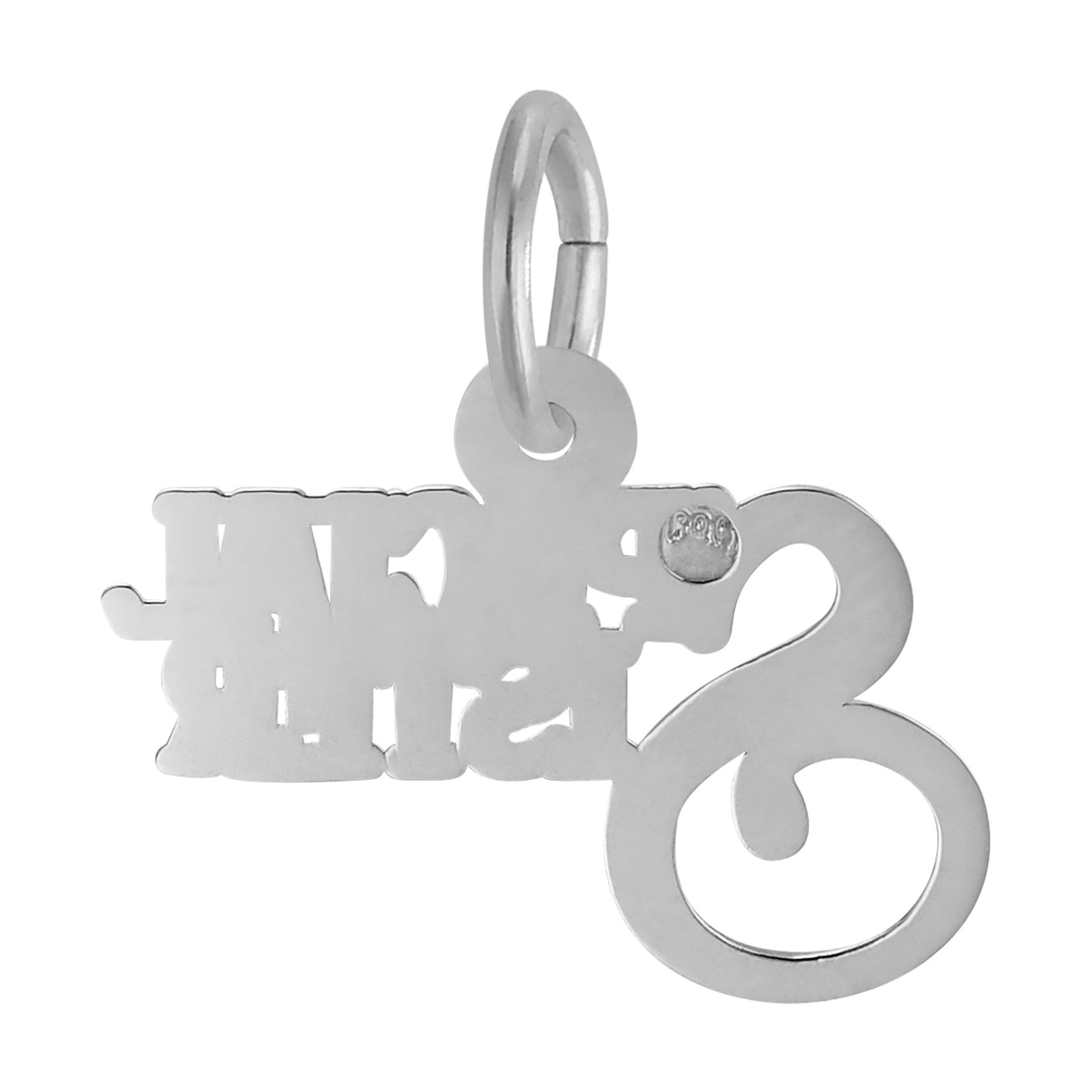 Back of Silver 'Special Sister' charm on a white background
