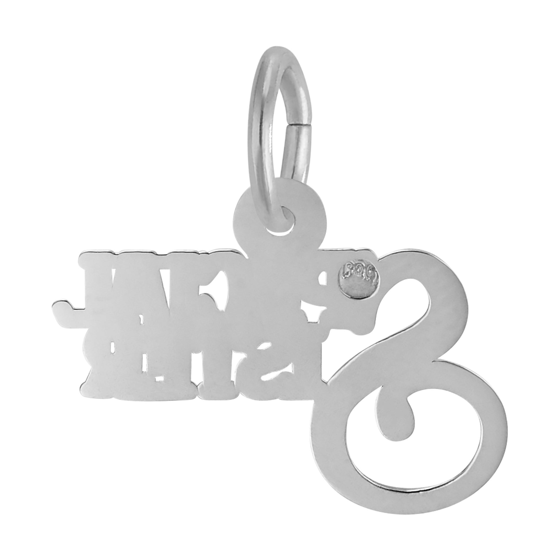 Back of Silver 'Special Sister' charm on a white background