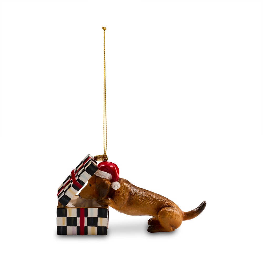 A Christmas ornament featuring a brown dachshund wearing a red Santa hat and licking a checkered gift box with a red and black ribbon, hanging from a gold string on a white background.