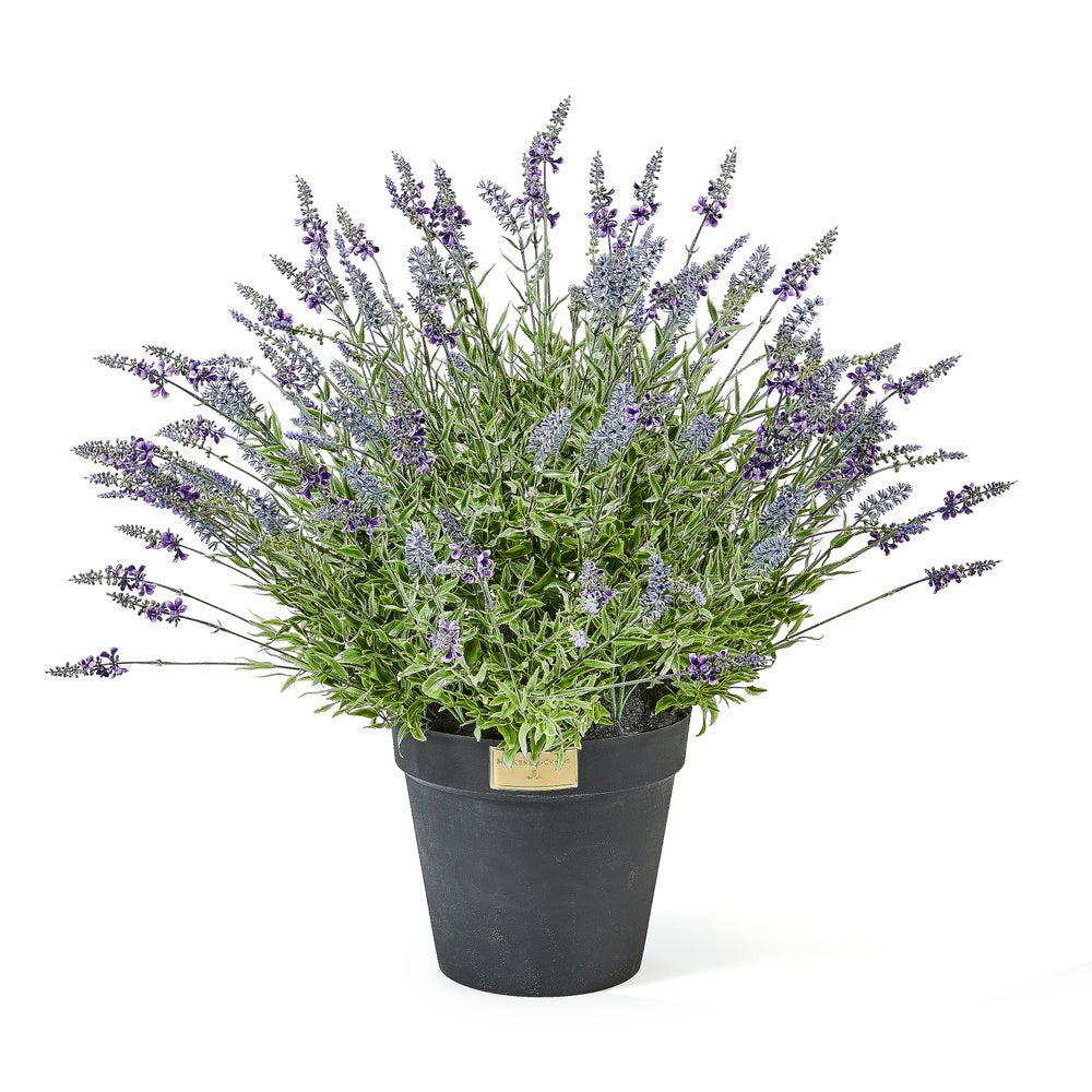 MacKenzie-Childs Lavender Urn Filler "In-Store Only Pick Up"