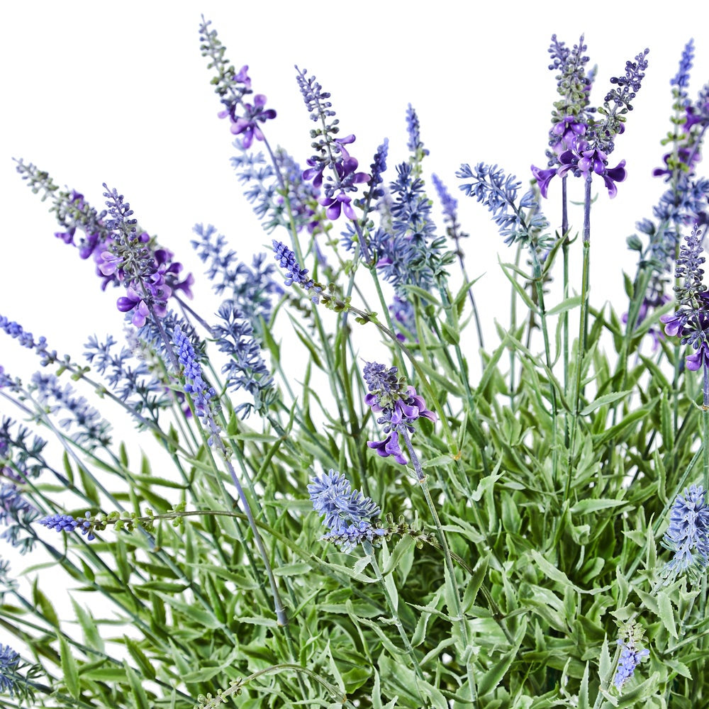 MacKenzie-Childs Lavender Urn Filler "In-Store Only Pick Up"