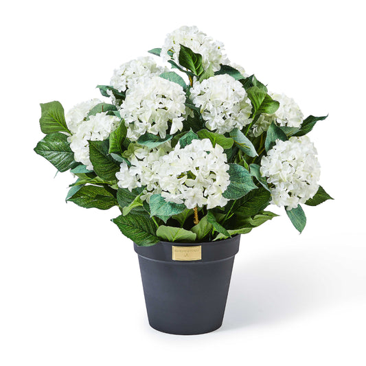 MacKenzie-Childs White Hydrangea Urn Filler *In Store Pickup Only*