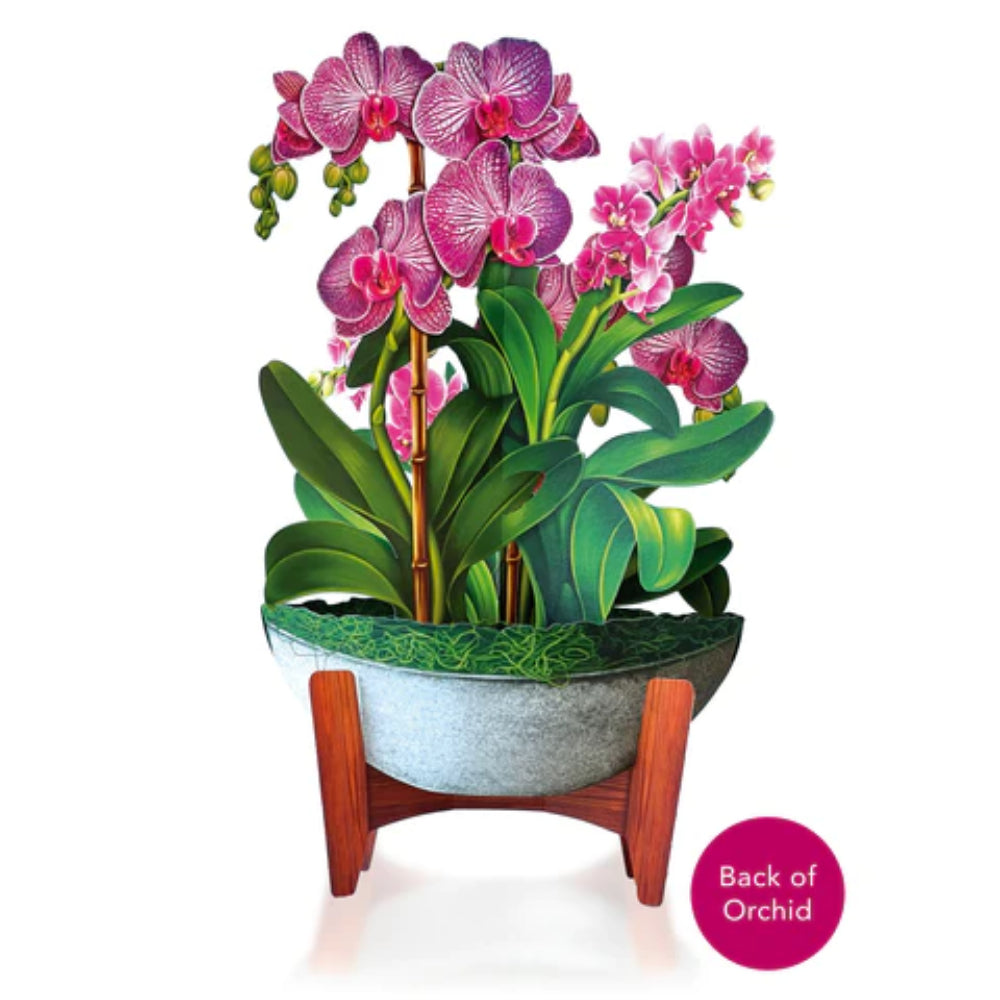 Orchid Oasis Pop-Up Greeting Card