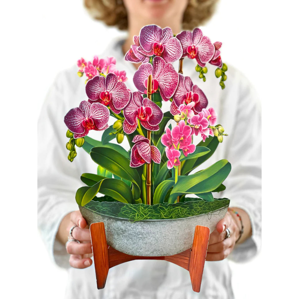 Orchid Oasis Pop-Up Greeting Card