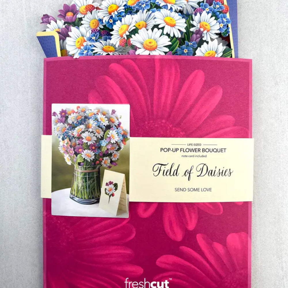 Field of Daisies Pop-Up Greeting Card