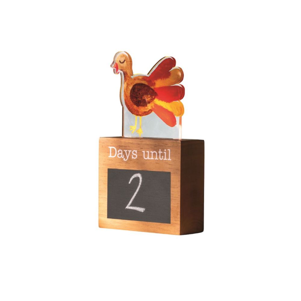 Mud Pie Light-Up Holiday Countdown Set