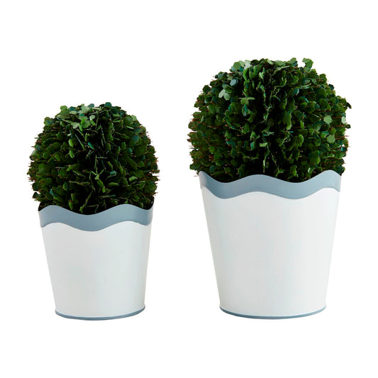 Mud Pie Wavy Boxwood Pot