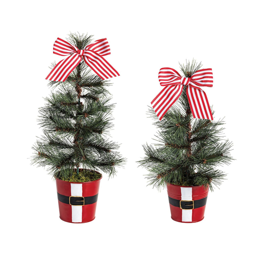 Two small potted Christmas trees with red and white striped bows on a white background