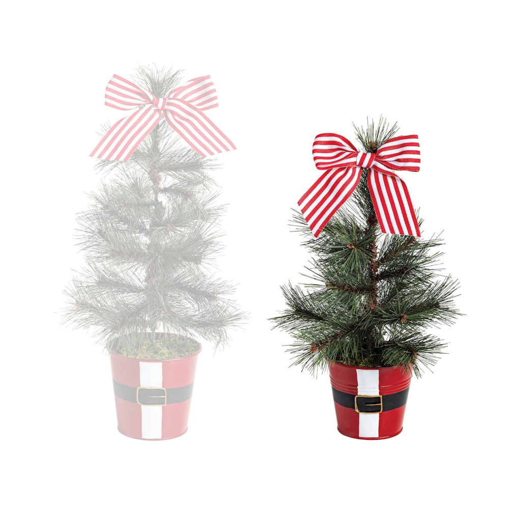 Two small potted Christmas trees with decorative bows on a white background