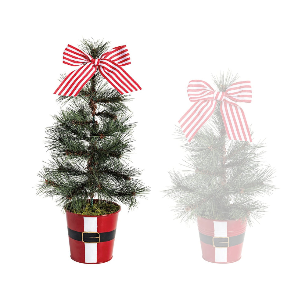 Two small potted Christmas trees with decorative bows on a white background