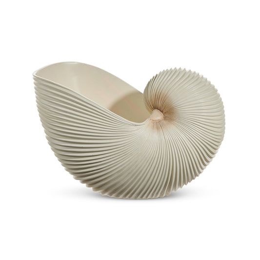Raz Imports 15.5" Cream Ribbed Shell