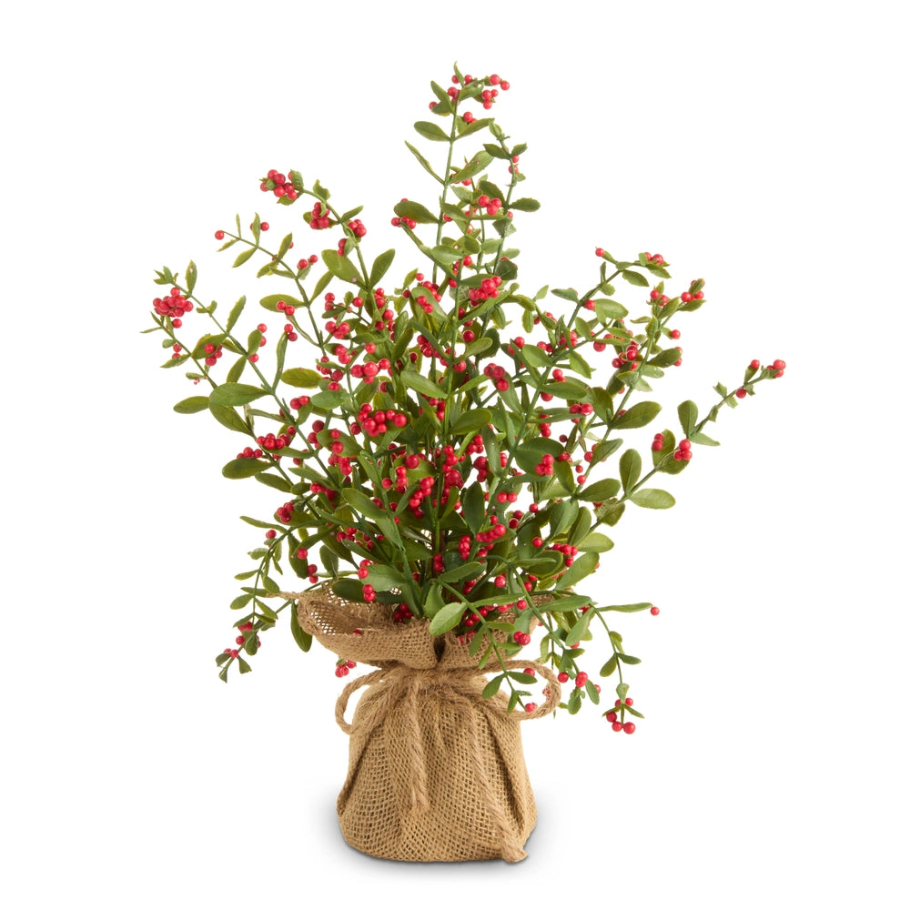 Potted plant with red berries in a burlap bag on a white background.