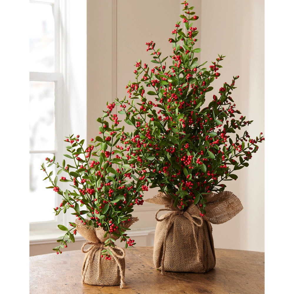 Two potted plants with red berries wrapped in burlap on a wooden surface.