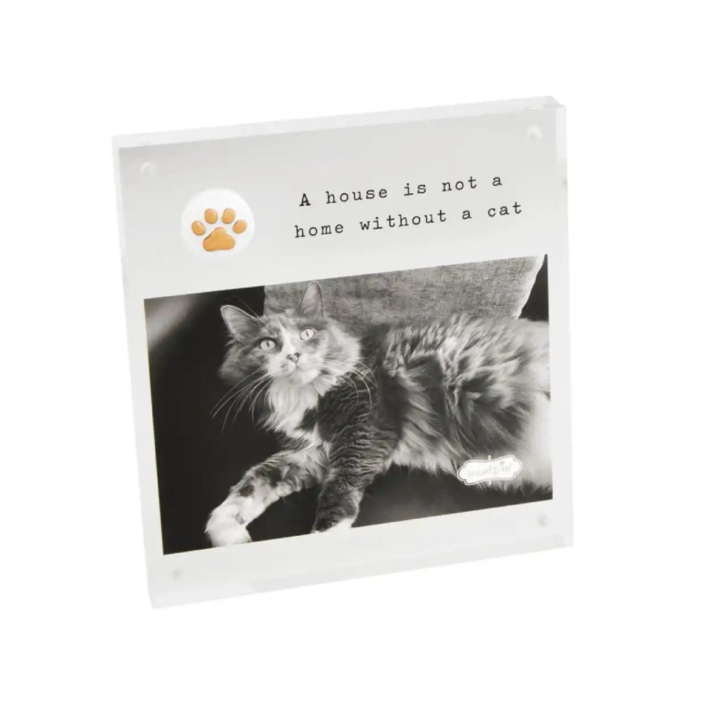 Mud Pie Acrylic Cat Frame - 4x6