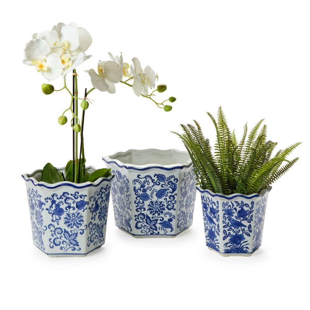 Three potted plants in decorative blue and white pots on a white background.