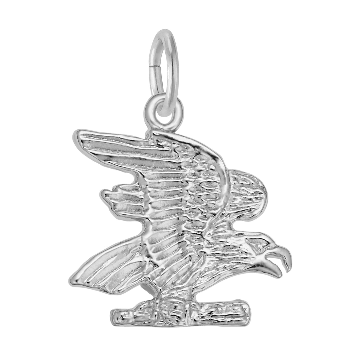Silver eagle charm with detailed texturing, shown on a white background