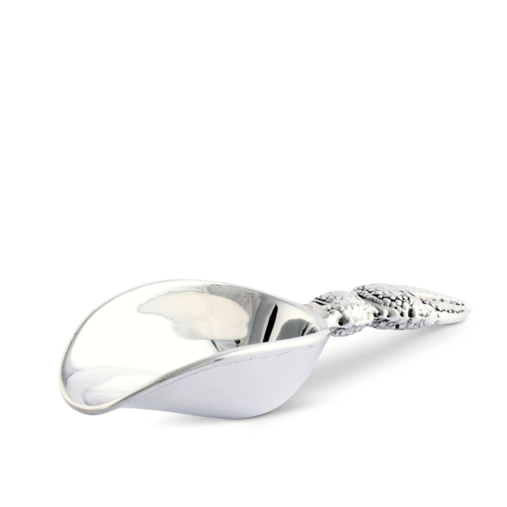 Silver spoon with decorative handle on a white background