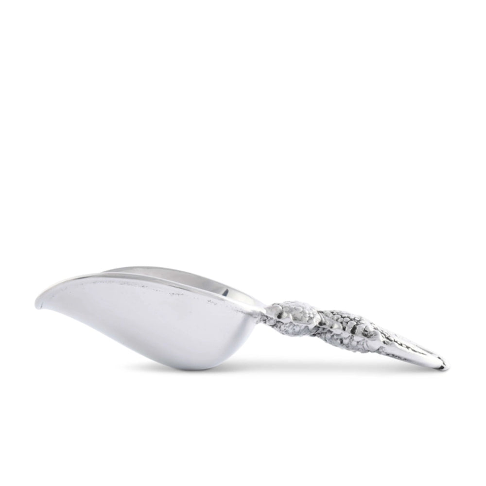 Silver spoon with decorative handle on a white background