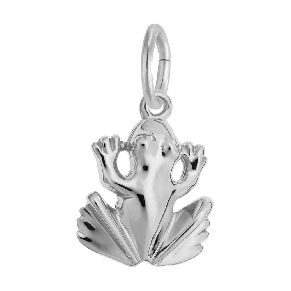 Silver frog charm with a polished finish, shown on a white background