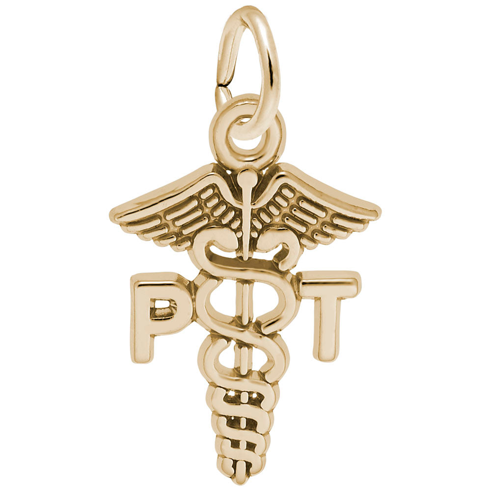 Gold medical caduceus charm with 'PT' letters on either side representing Physical Therapy, shown on a plain white background