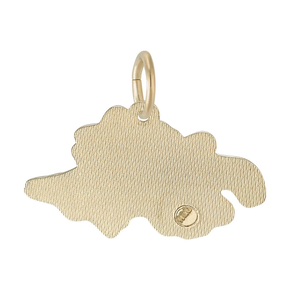 Gold charm shaped like Switzerland with   a textured finish, shown on a white background