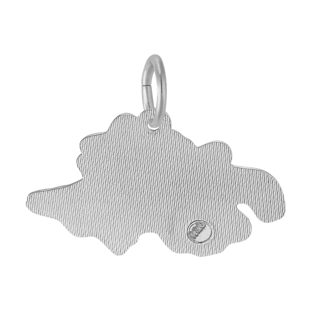 Silver charm shaped like Switzerland with   a textured finish, shown on a white background