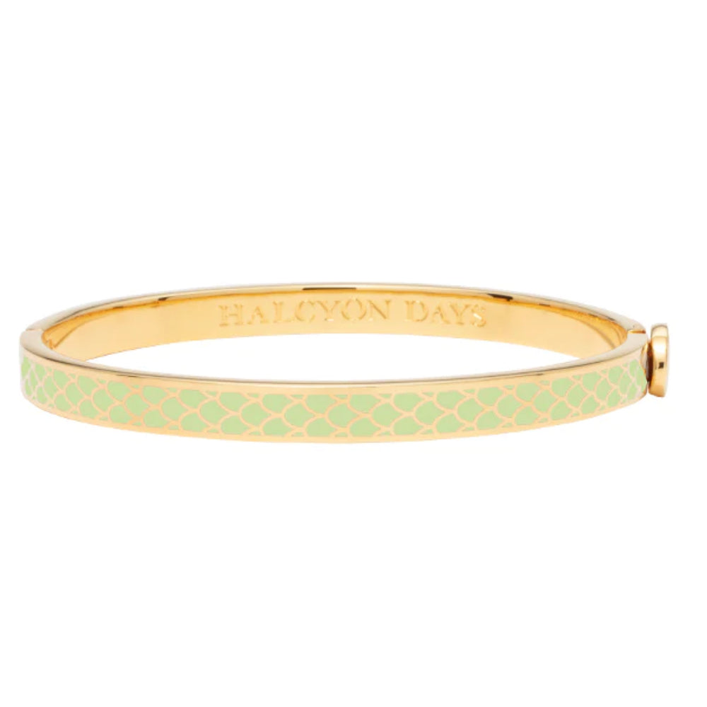 Halcyon Days 6mm Skinny Salamander Gold Hinged Enamel Bangle