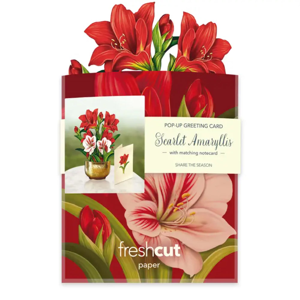 FreshCut Paper LLC Mini Scarlett Amaryllis Greeting Card