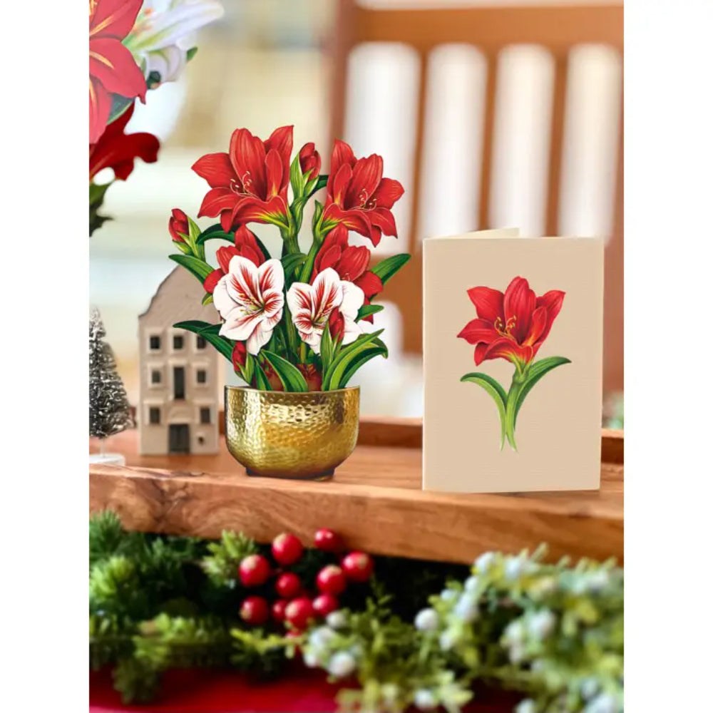 FreshCut Paper LLC Mini Scarlett Amaryllis Greeting Card
