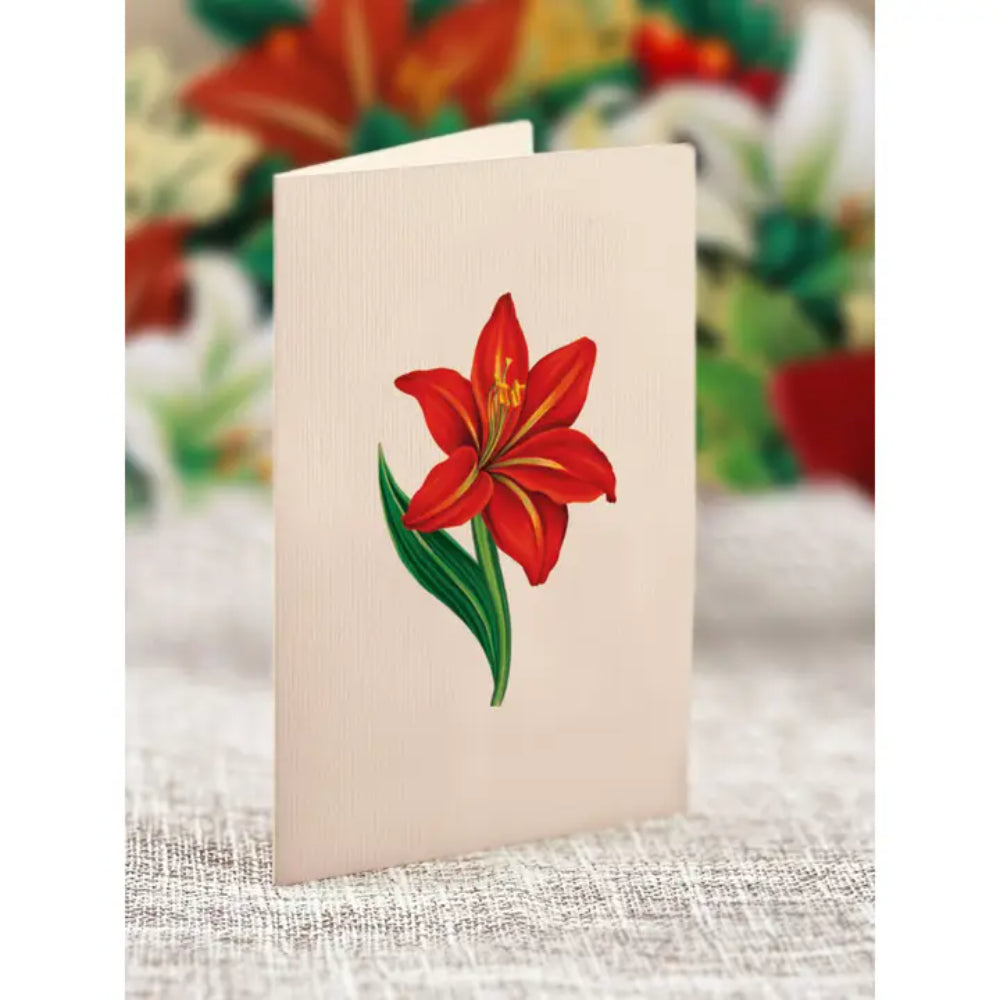 FreshCut Paper LLC Mini Winter Joy Wreath Greeting Card