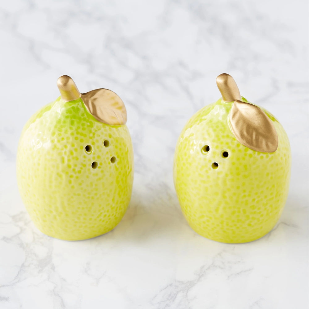 Design Imports Limons Ceramic Salt and Pepper Shaker Set
