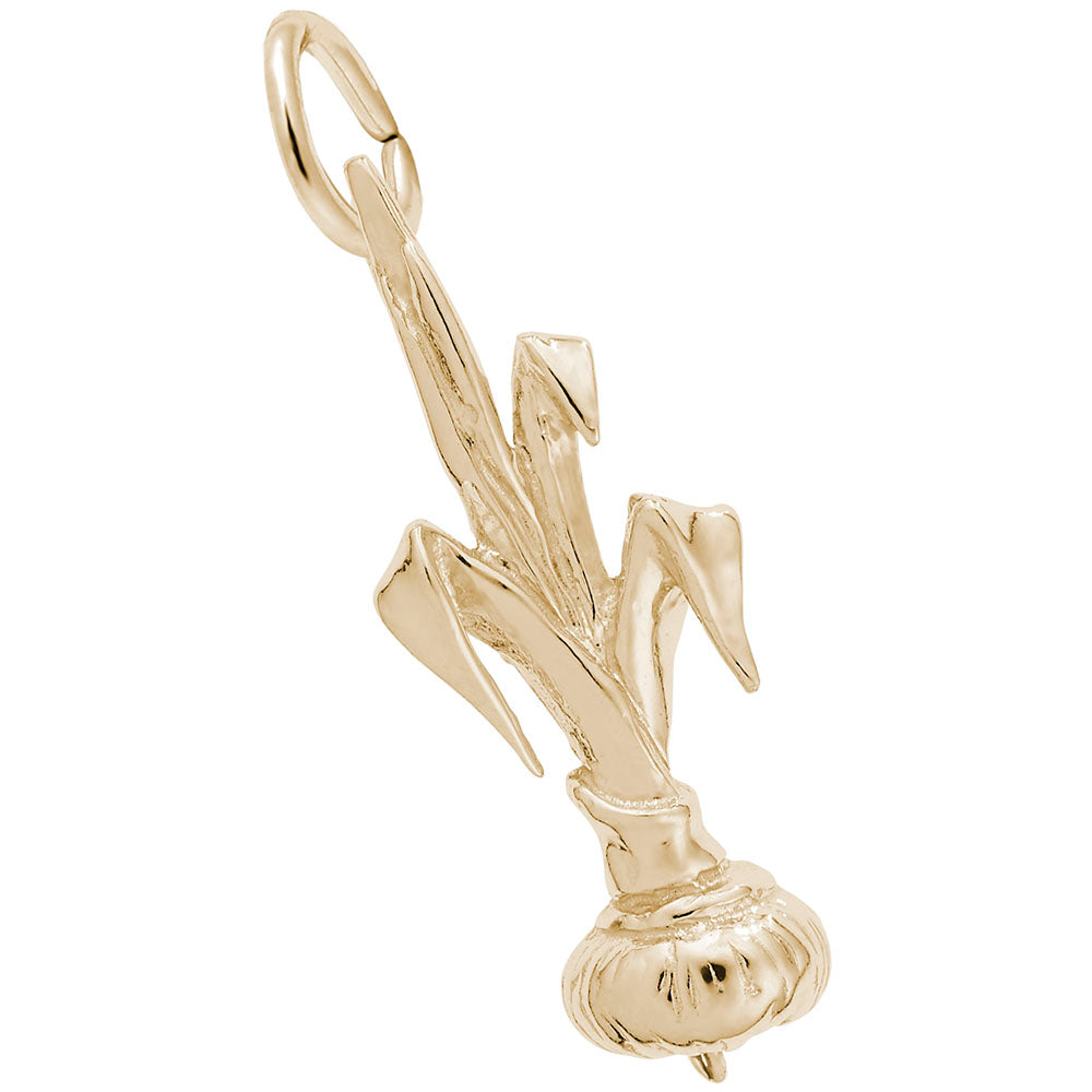 Gold onion charm on a white background